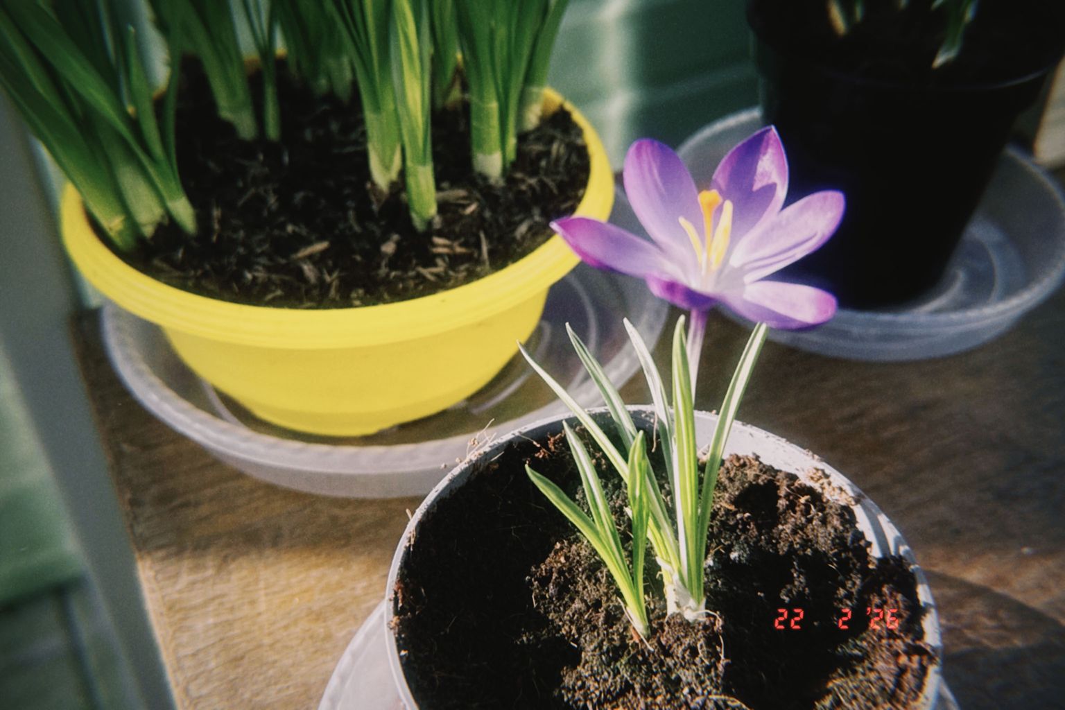 Project image for Studio and Life